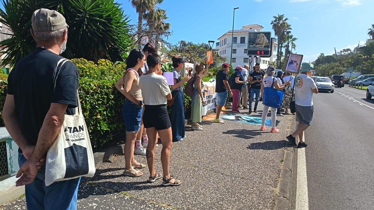 Protesta frente a Loro Parque para pedir el fin del "maltrato animal". Álvaro Morales.