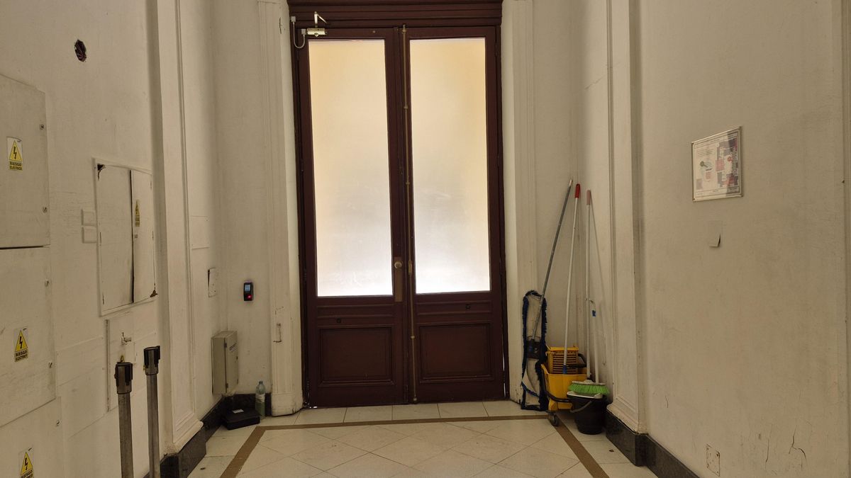 Los vidrios esmeriladores que dan al Patio de las Palmeras de la Casa Rosada.