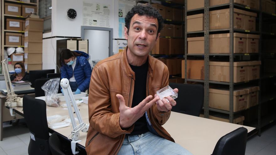 Jacob Morales, doctor de la ULPGC, es el único carpólogo de Canarias. Sus investigaciones están aportando mucha luz
