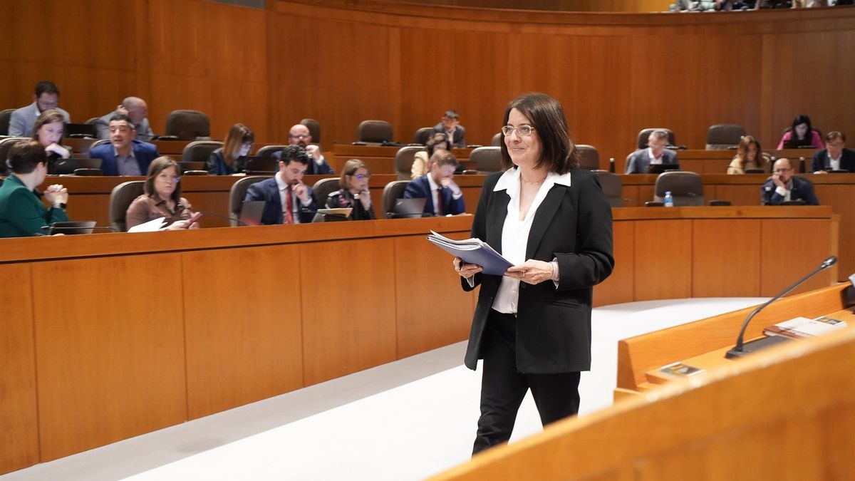 La Justicia de Aragón, Concepción Gimeno, en la sesión plenaria de las Cortes autonómicas.