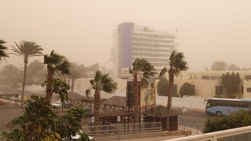 Viento y calima en Jandía. 