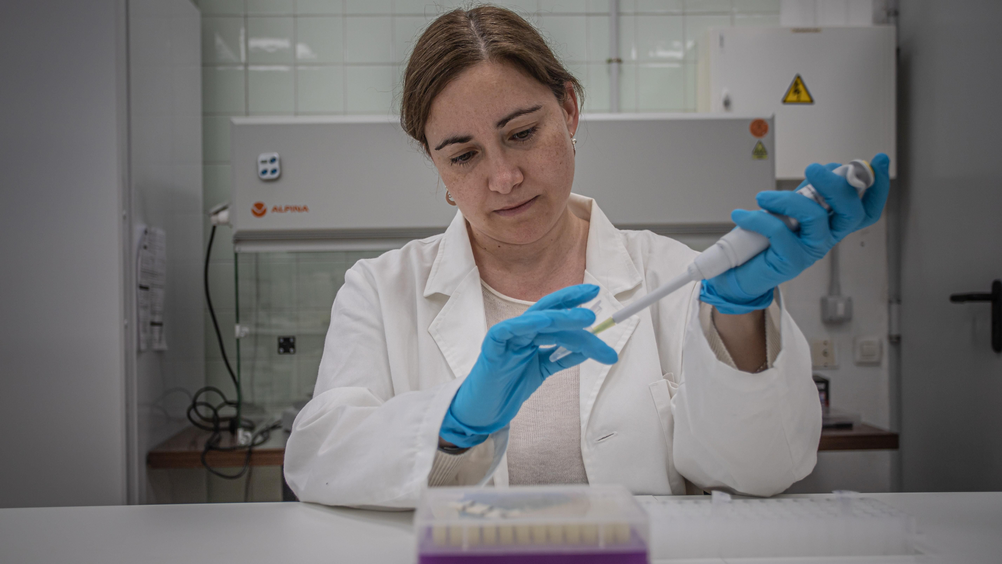 Las investigaciones de la doctora Rosa Fregel, bióloga especializada en genética, han aportado mucha luz sobre los linajes y origen de los primeros pobladores.
