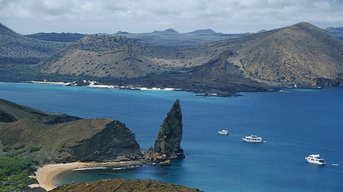 Ordenan prisión a 32 peruanos y un venezolano por pesca ilegal en Galápagos