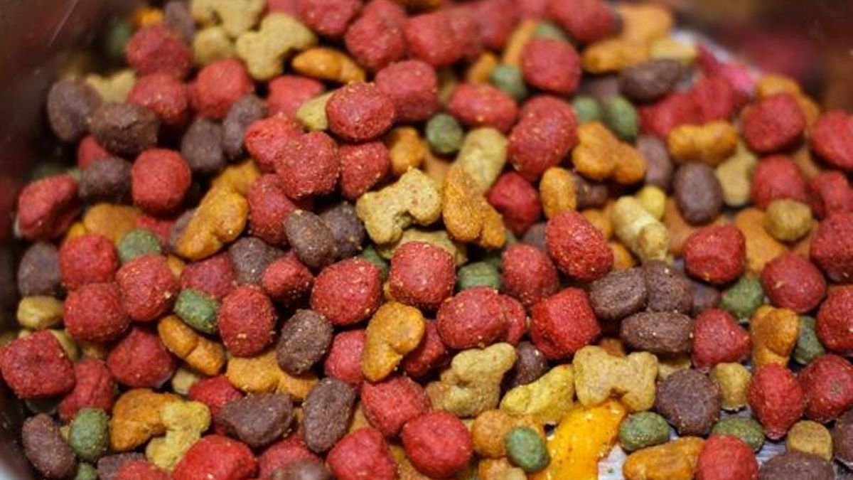 ¿Cómo sé si un pienso es mejor que otro para mi perro?