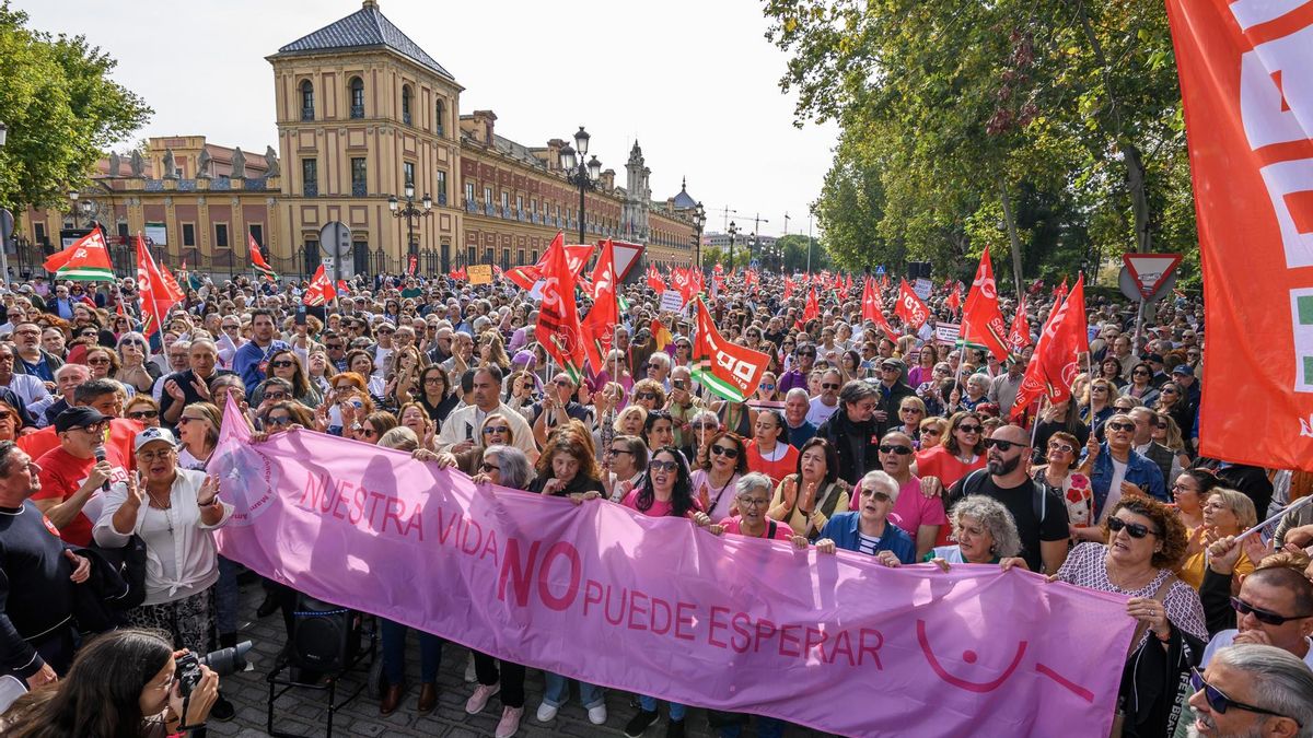 Miembros de AMAMA participan en la manifestación por la Sanidad Pública celebrada en Sevilla, el 9 de noviembre de 2025.