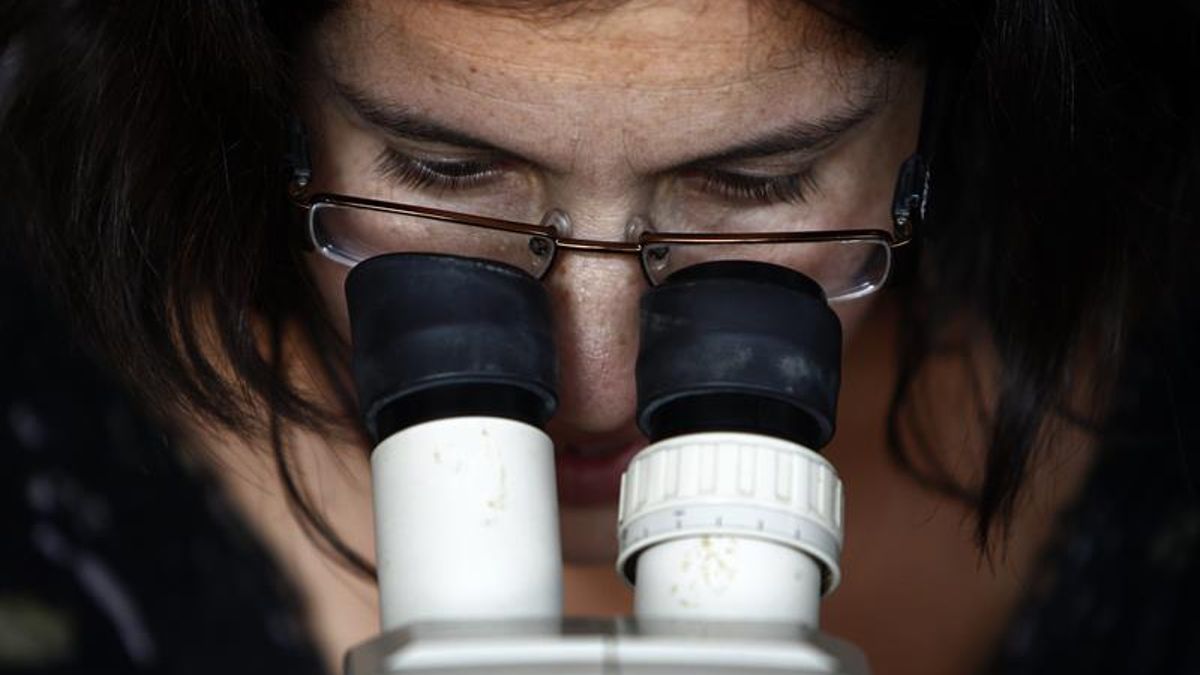 Por primera vez en 25 años el incumplimiento del acuerdo bilateral por parte de Argentina obligó a los investigadores de ambos países a buscar estrategias para mantener la continuidad del programa ECOS-Sud.