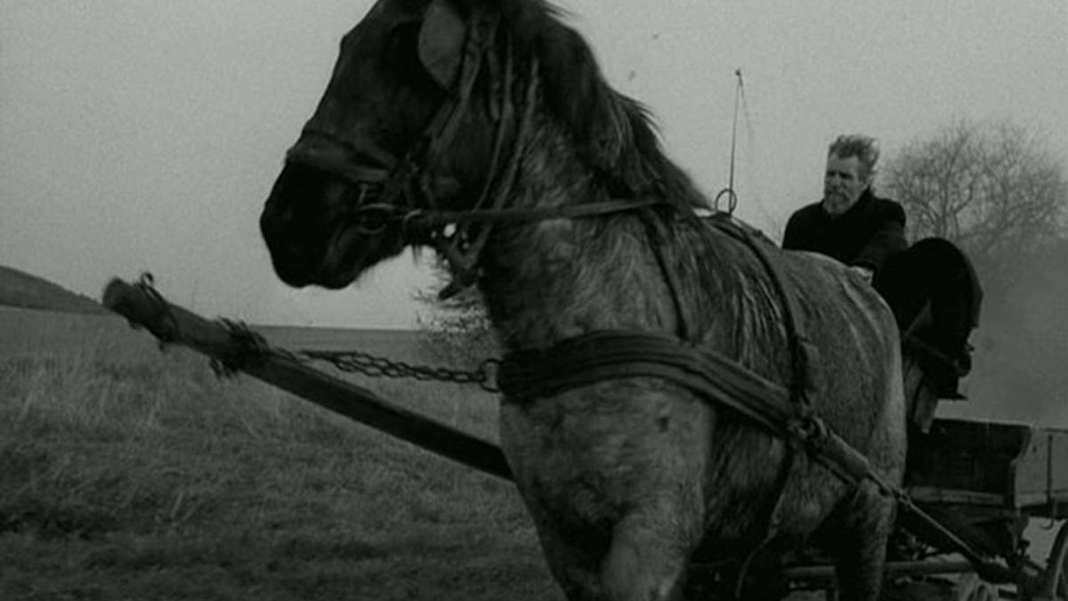 El caballo de Turin