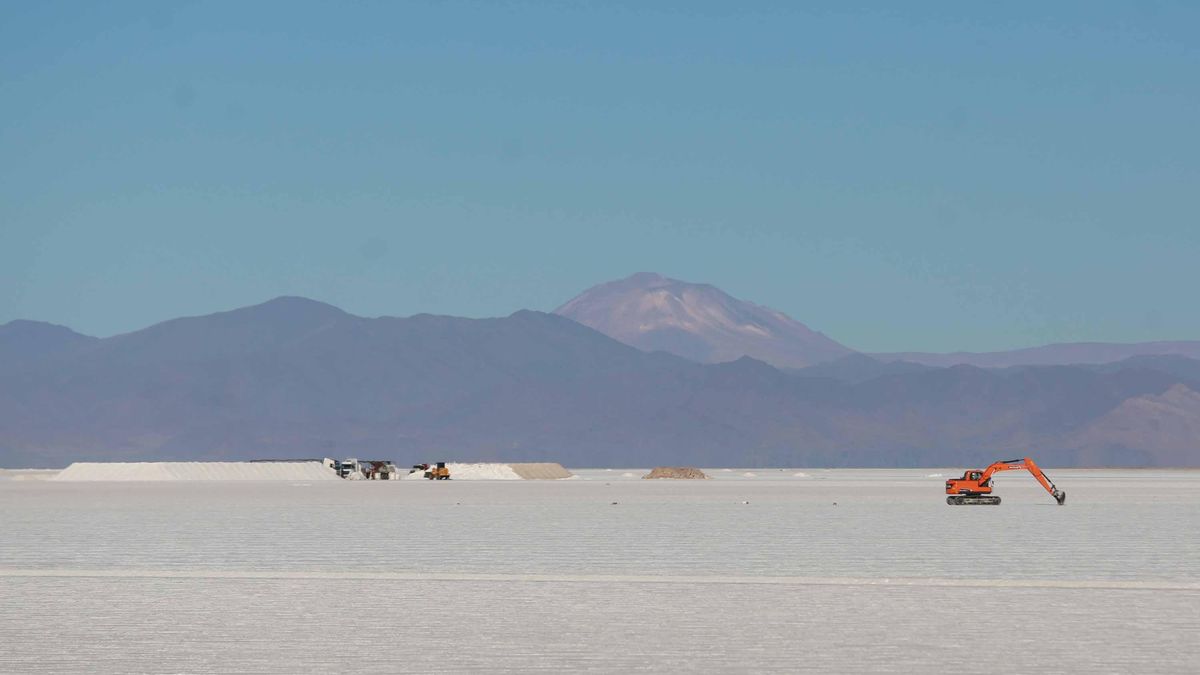Según los científicos, en la extracción de los salares hay un uso del agua que puede ser muy disruptivo y ocasionar cambios importantes en el ecosistema.