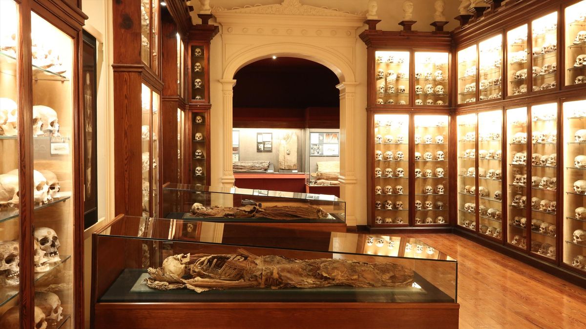 Sala funeraria de El Museo Canario. En primer plano, los restos de una momia. Una investigación bioarqueológica de los cráneos demuestra que la violencia letal estuvo presente en la sociedad prehispánica