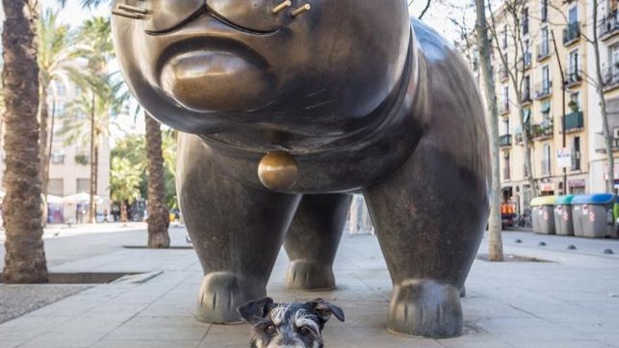 De ruta por Barna: siete lugares para tomar el vermut con tu perro al lado