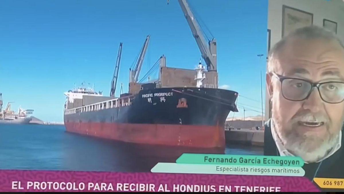 El tertuliano Francisco García Echegoyen, durante su intervención de este sábado en Televisión Canaria.