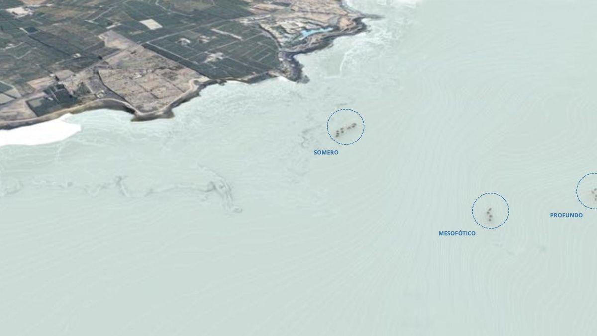 Zonificación de las actividades vinculadas a la instalación de módulos arrecifales y elementos de monitorización en un mapa incluido en la documentación del proyecto