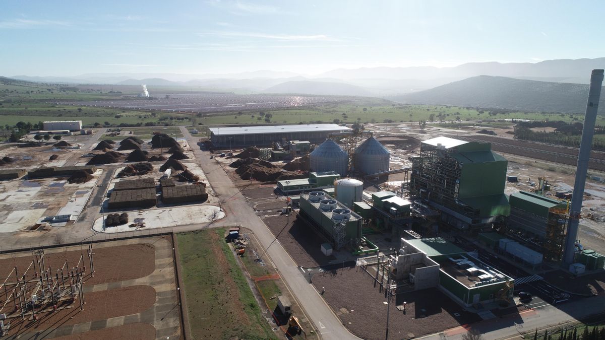 Del carbón a la biomasa: transición energética "justa" en Puertollano