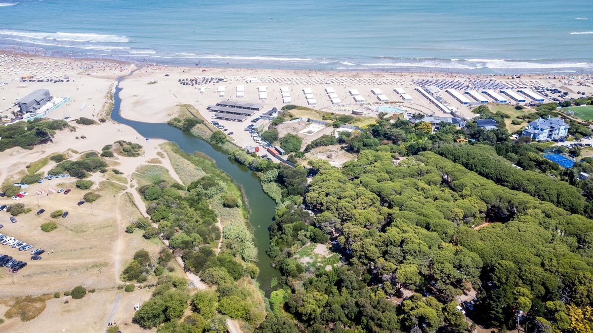 Zona donde se construirá el megaproyecto inmobiliario lindero a la Reserva Forestal Paseo Costanero Sur, Mar del Plata.