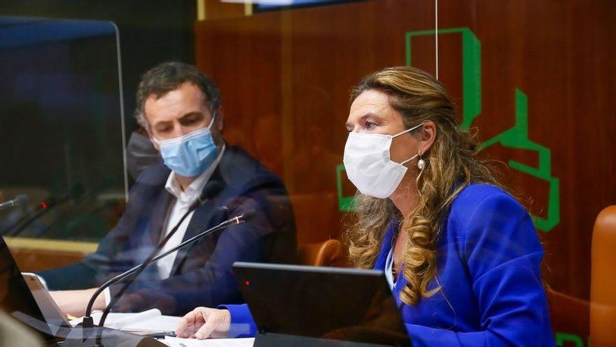 28 de enero: La oposición, en bloque, pide la dimisión de Sagardui