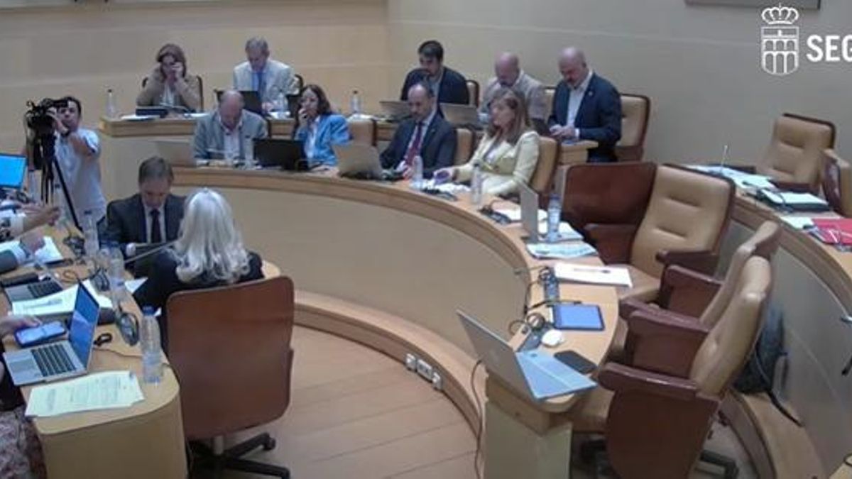 Pleno del Ayuntamiento de Segovia, este viernes.
