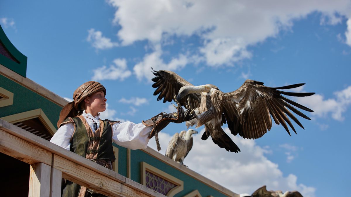 Imagen del espectáculo Cetrería de Reyes de Puy du Fou