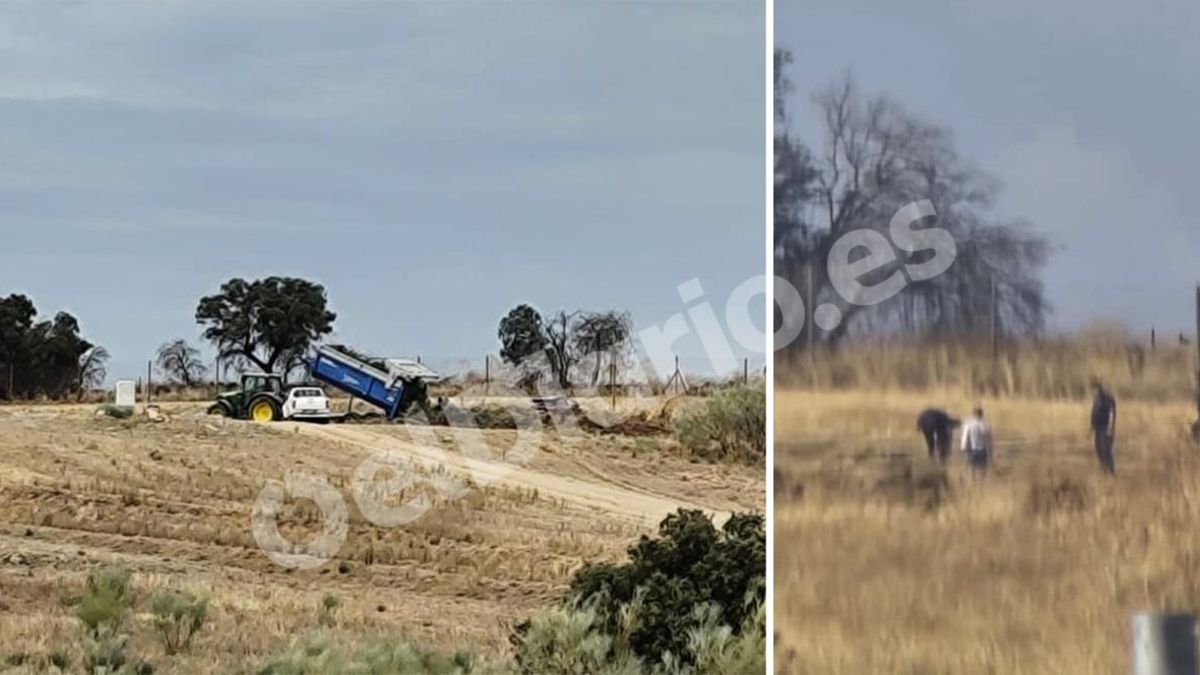 Imágenes de trabajadores removiendo tierra en la zona de enterramientos