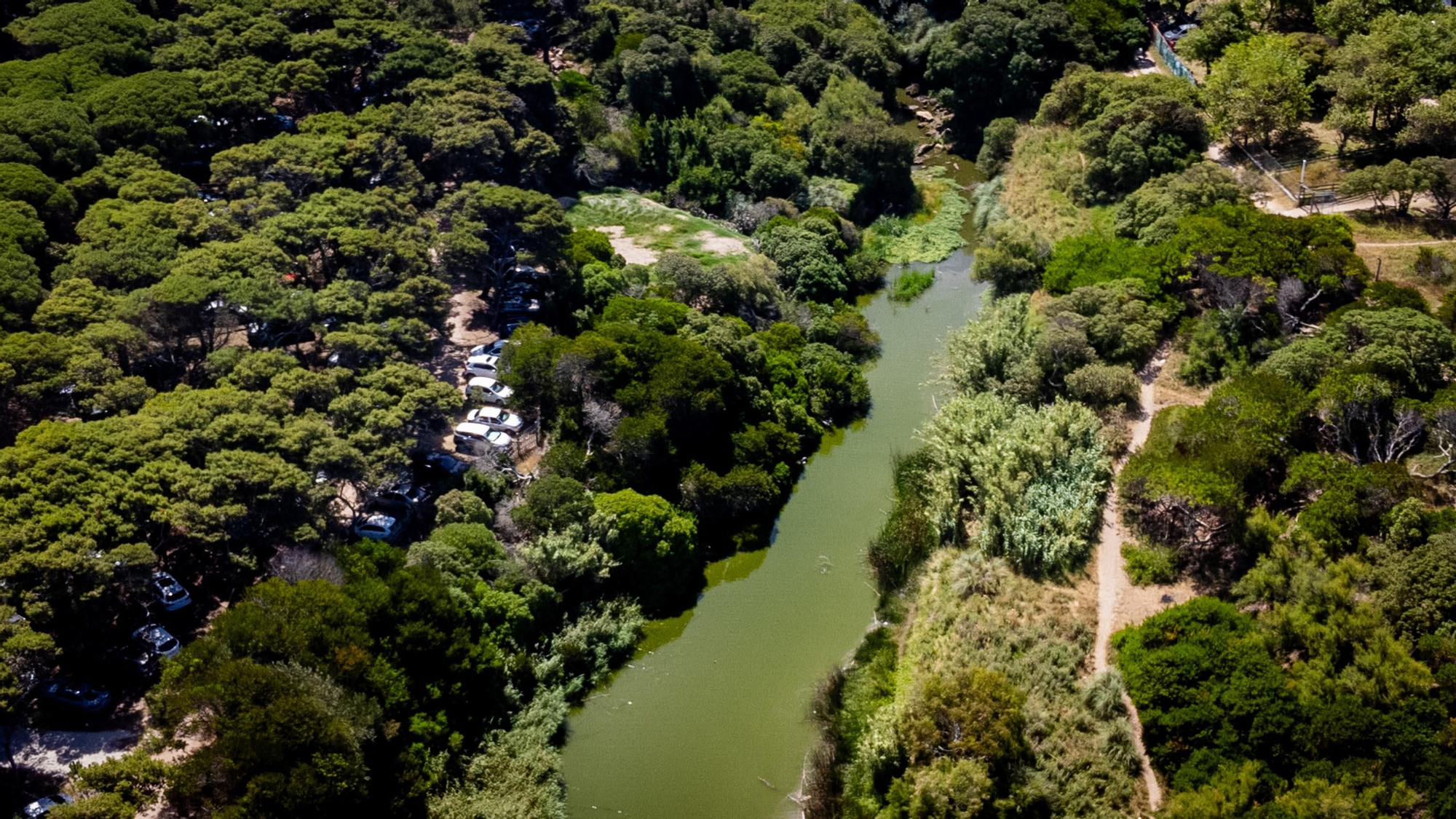 Reserva Forestal Paseo Costanero Sur, Mar del Plata.