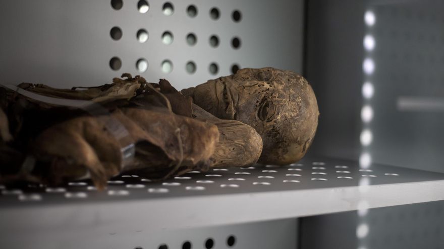 Momia guanche expuesta en el MUNA. Se aprecia la piel en el rostro y en el hombro. Solo se momifica a las personas más relevantes de la comunidad
