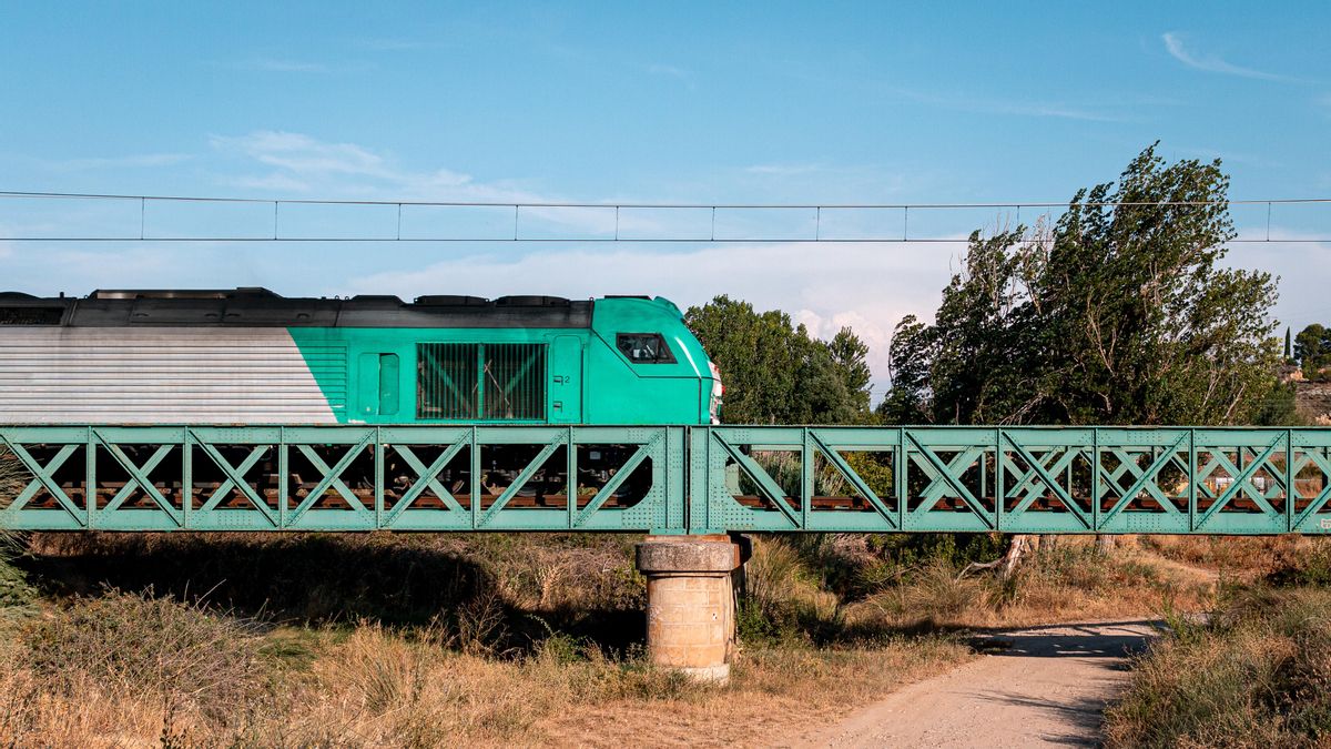 Un tren de Transfesa