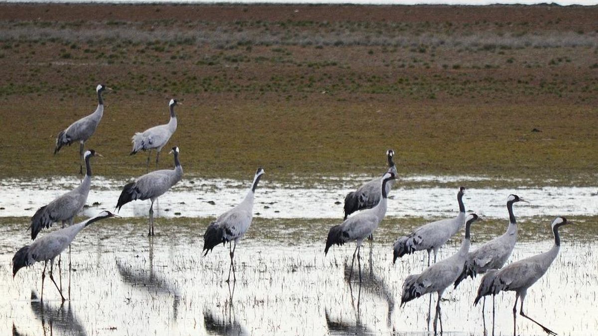 FOTO: Turismo Castilla-La Mancha