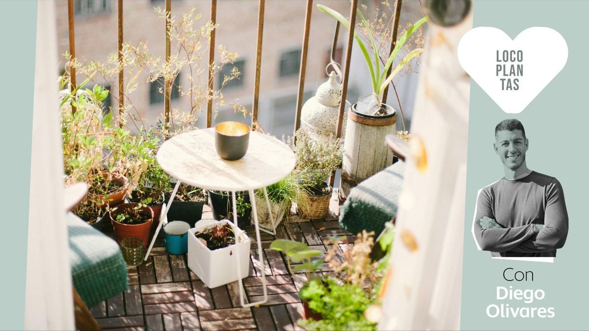 Cómo decorar desde cero un balcón o terraza.