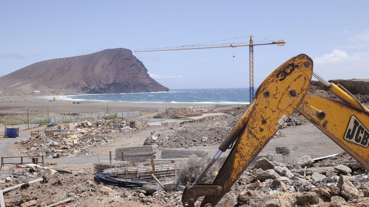 Playa de La Tejita, Tenerife