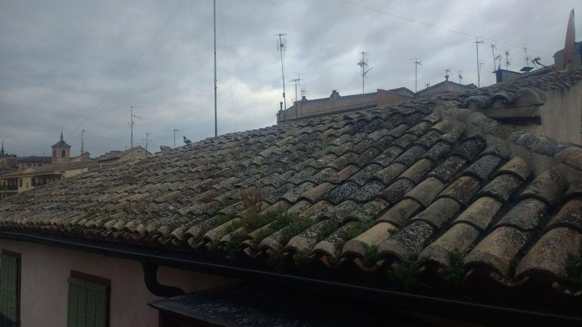Luchando contra el odio y las mentiras desde mi ventana
