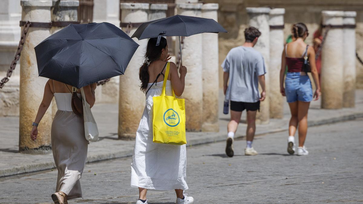 Unos turistas con paraguas para protegerse del sol caminando a mediodía junto a la Catedral de Sevilla