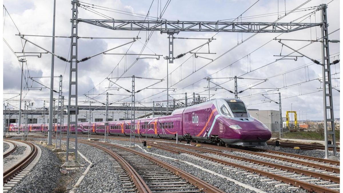 El PP en Diputación pide a Fomento que realice trámites para que el AVE 'low-cost' tenga conexión Madrid-Málaga